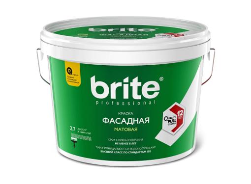   BRITE PROFESSIONAL  ,  , 2,7 (02234)