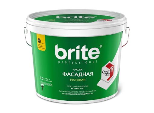   BRITE PROFESSIONAL  ,  , 9 (02235)