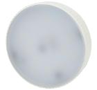    LED GX-12W-865-GX53 R (0048014)