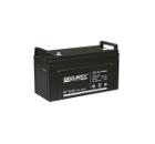 Аккумуляторная батарея Security Force SF 12120