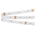 Лента светодиодная ARLIGHT RT-B60-10mm 24V RGB 010367(2)