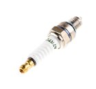   A7RTC (122110300005) (10-9) GNR2000i