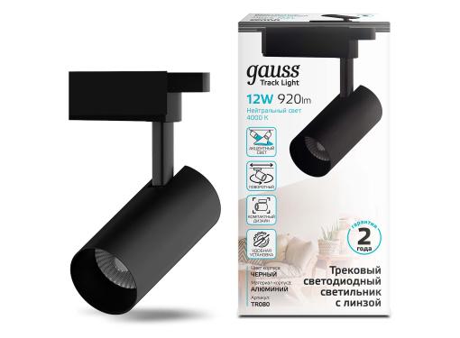  GAUSS Track Lights LED TR080