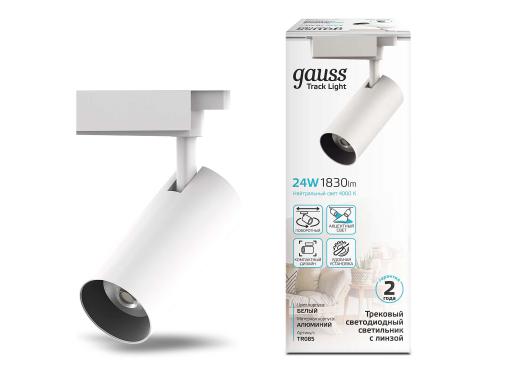  GAUSS Track Lights LED TR085