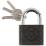 Замок тросовый CHINA навесной чугунный корпус "PALLADIUM" (305F ) 60х45 мм, стальная дужка 10 мм