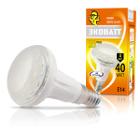   ECOWATT R50 230 4(40)W 2700K E14
