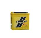 Аккумулятор FORSE 12V16 A/h BS рос