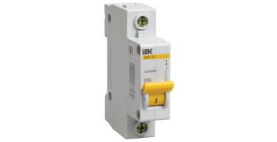Автомат IEK ВА47-29 1Р 25А 4,5кА С