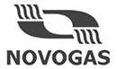 НЗГА