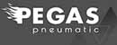 Pegas pneumatic