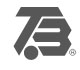 TBI